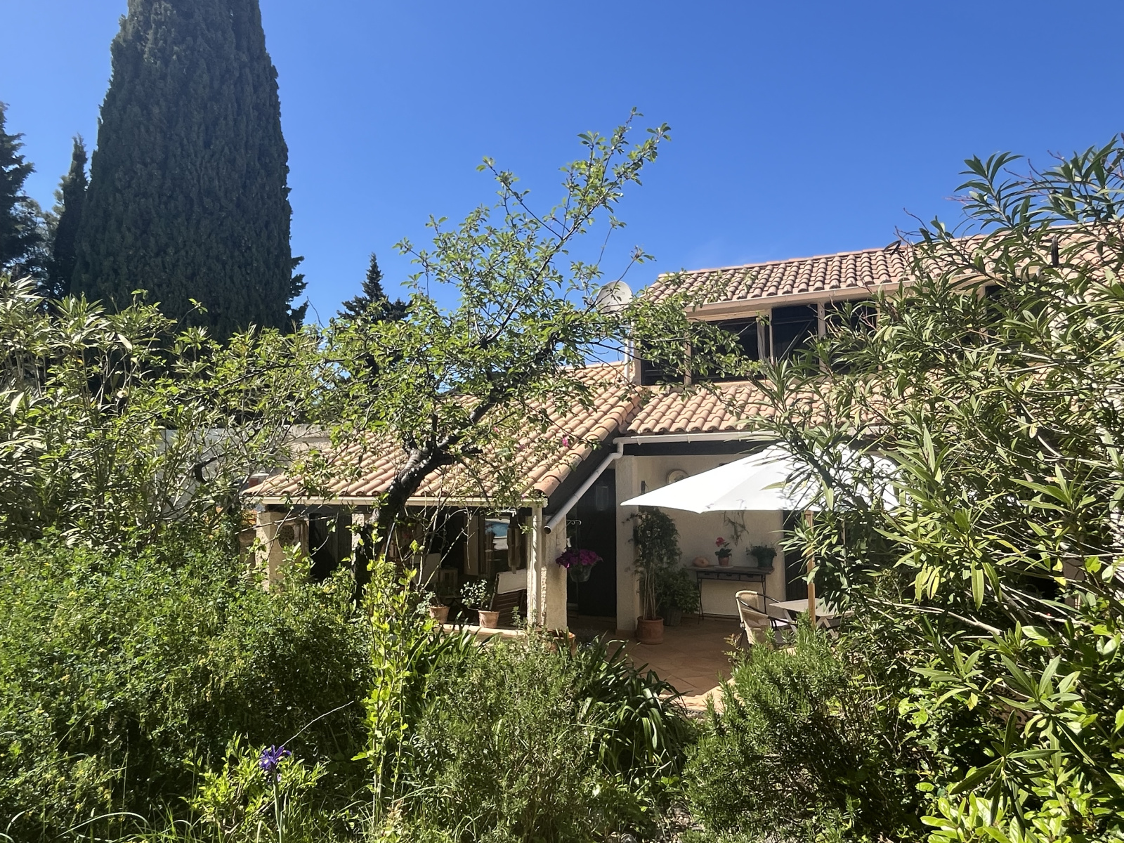 Image_, Villa, Montbrun-des-Corbières, ref :VVI10002153