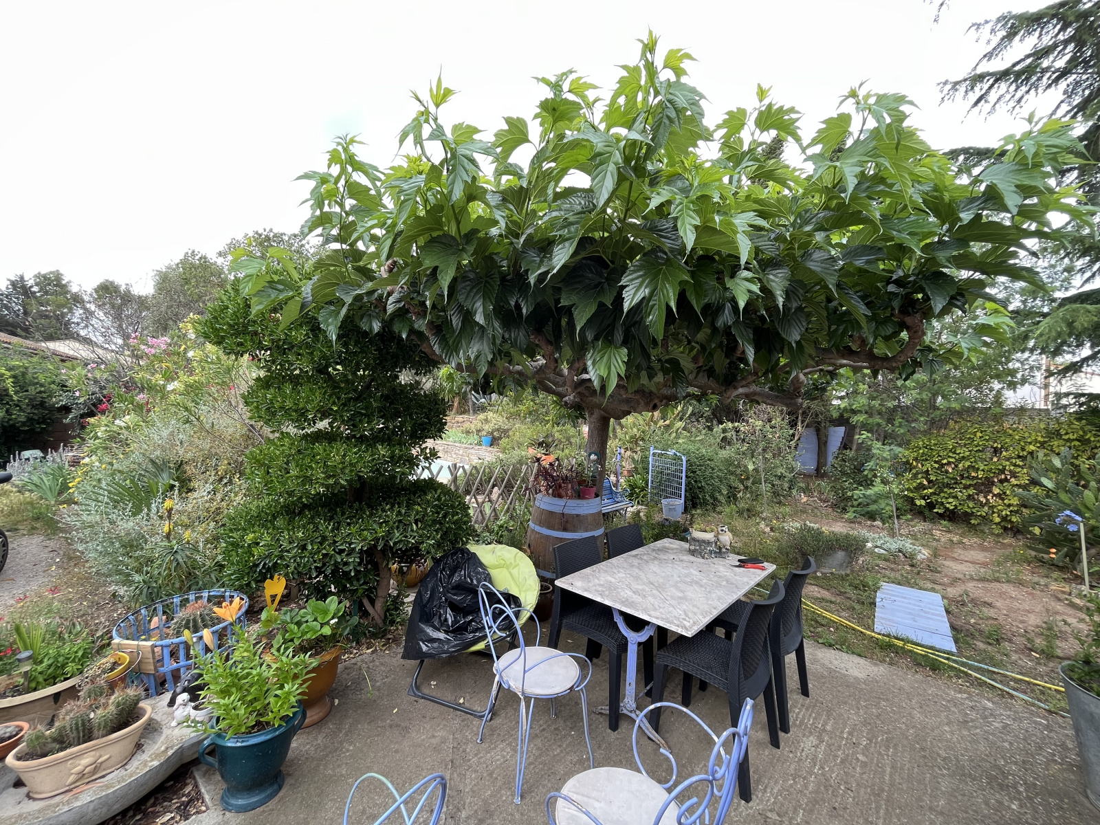 Image_, Maison, Boutenac, ref :VMA10002056