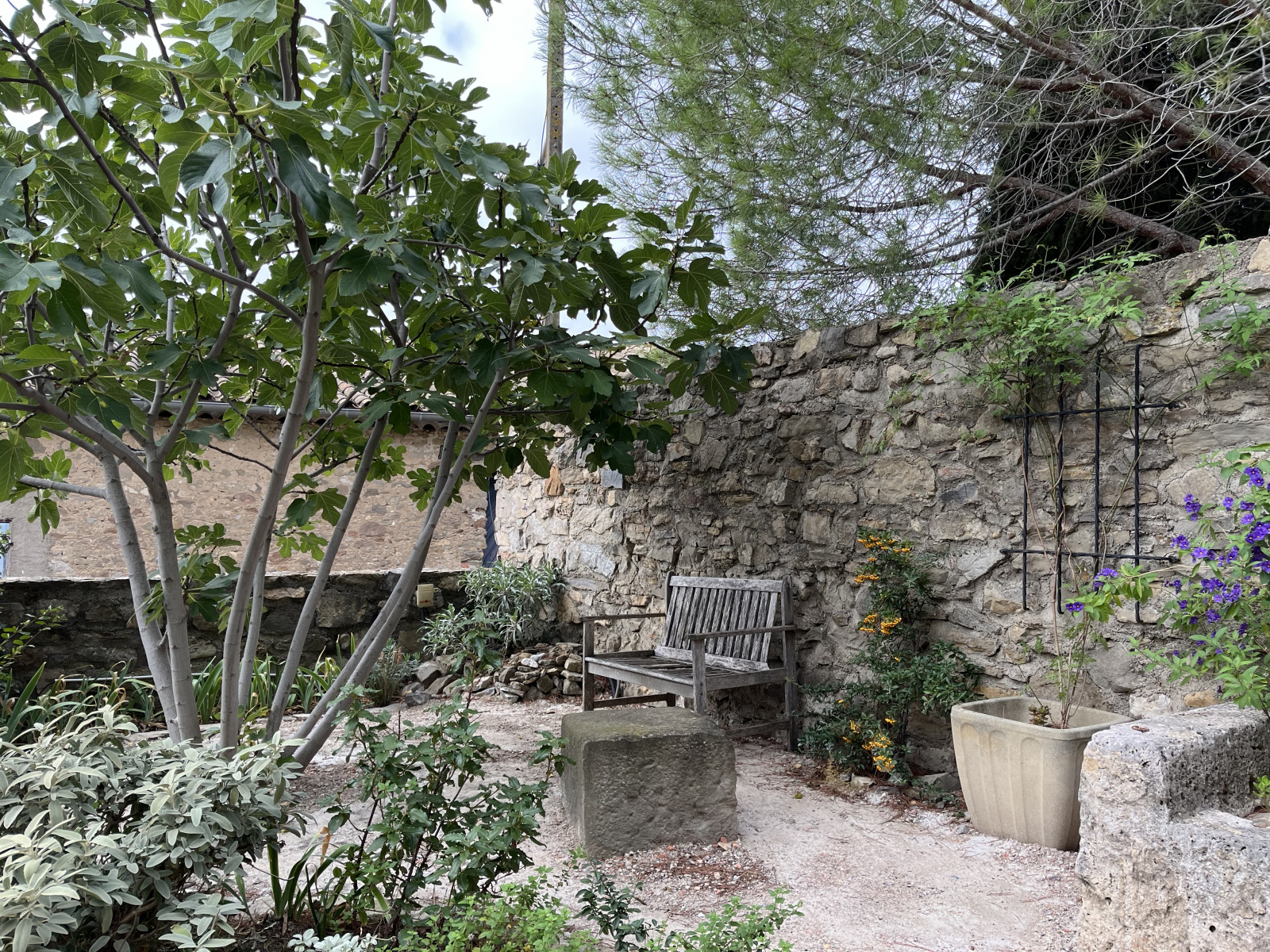 Image_, Maison, Argens-Minervois, ref :VMA10002133